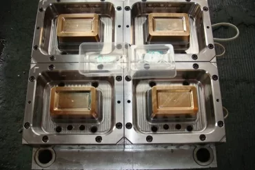 Biryani Container Mould Manufacturers